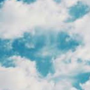 Meet your Posher, Jane